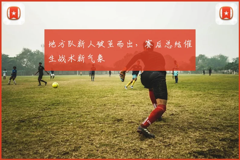 地方队新人破茧而出，赛后总结催生战术新气象