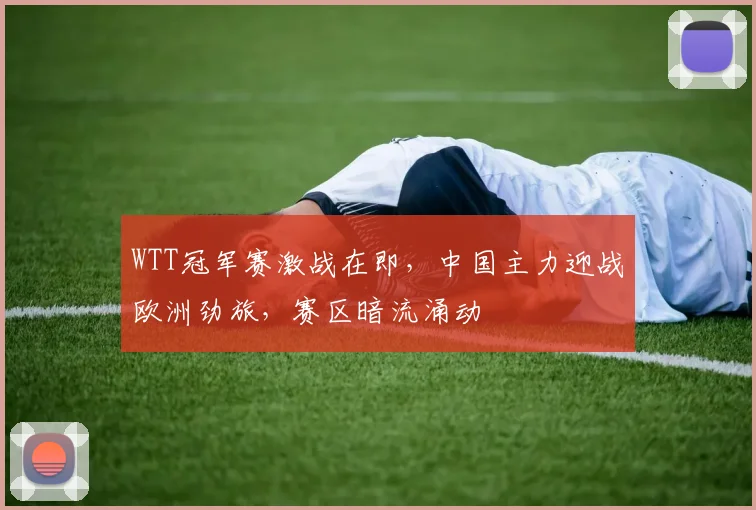WTT冠军赛激战在即，中国主力迎战欧洲劲旅，赛区暗流涌动