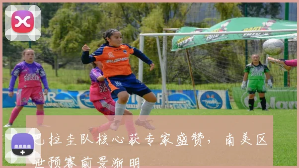 巴拉圭队核心获专家盛赞，南美区世预赛前景渐明